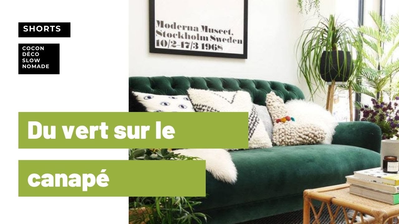 Du vert sur le canapé du salon