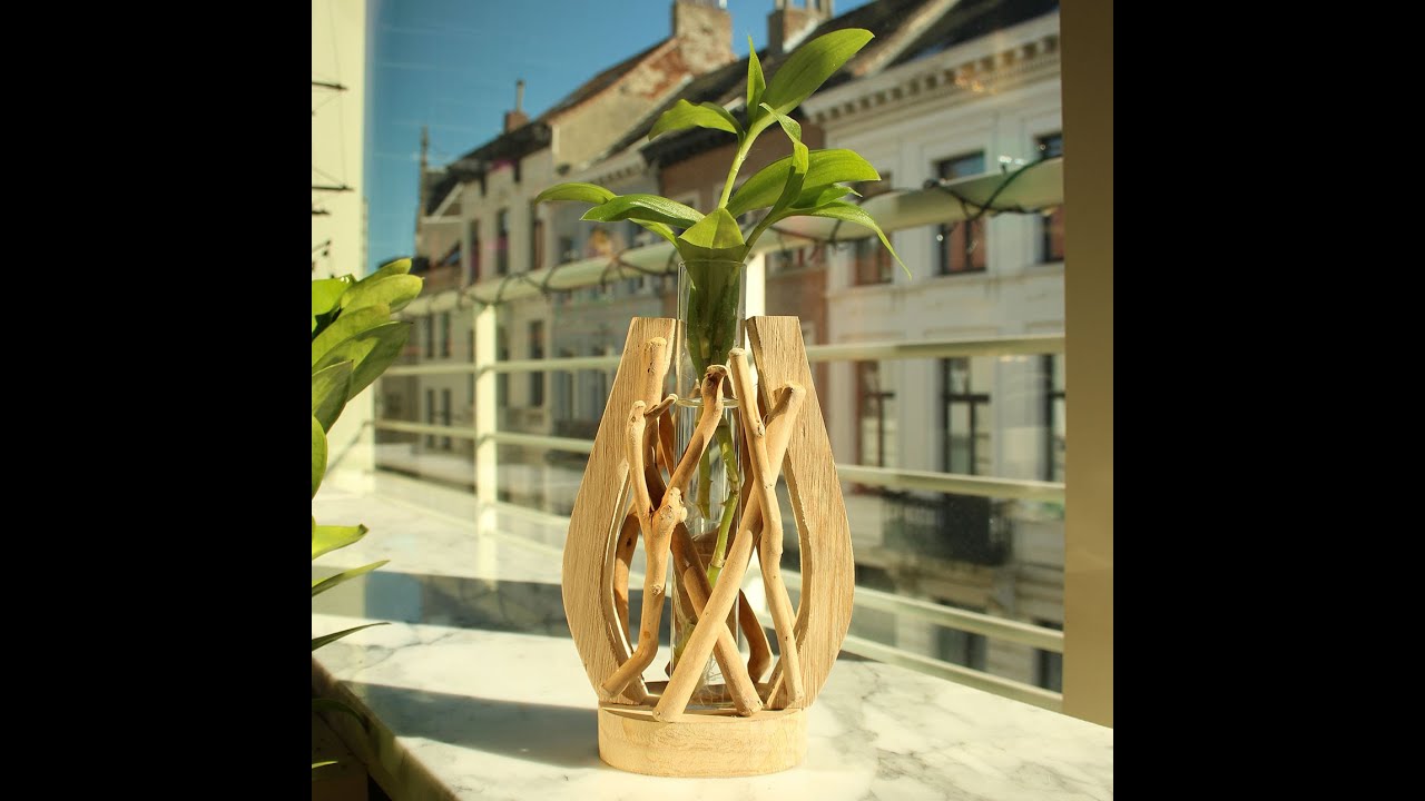 Petit Vase Tube en Verre | Unique Terrarium | Fait à la Main, Bois Flotté