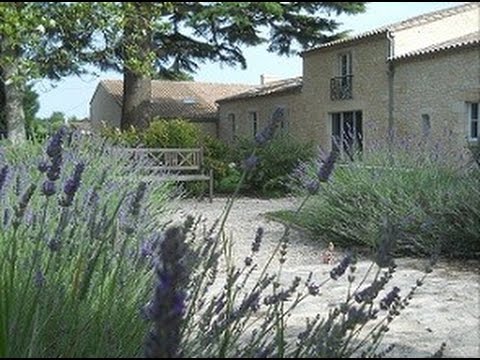 La solution pour se déconnecter des écrans - Mille et une vies