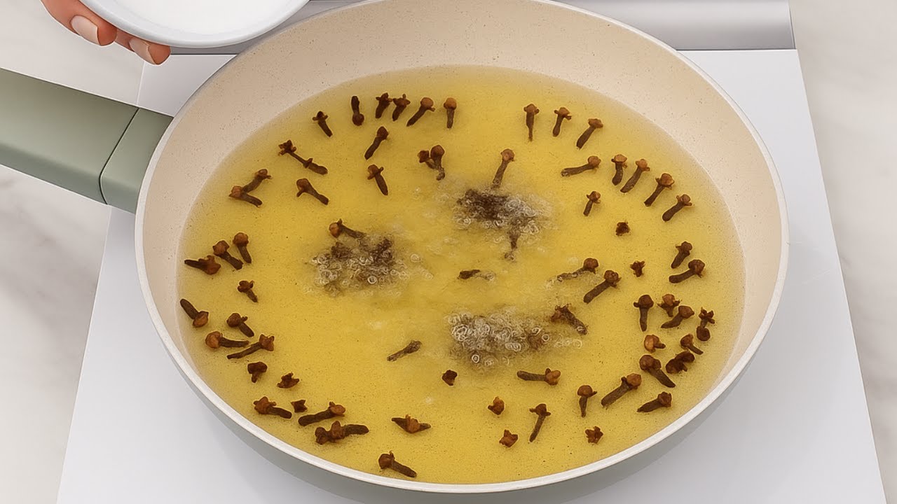 Fini les mouches, les fourmis et les cafards dans la maison