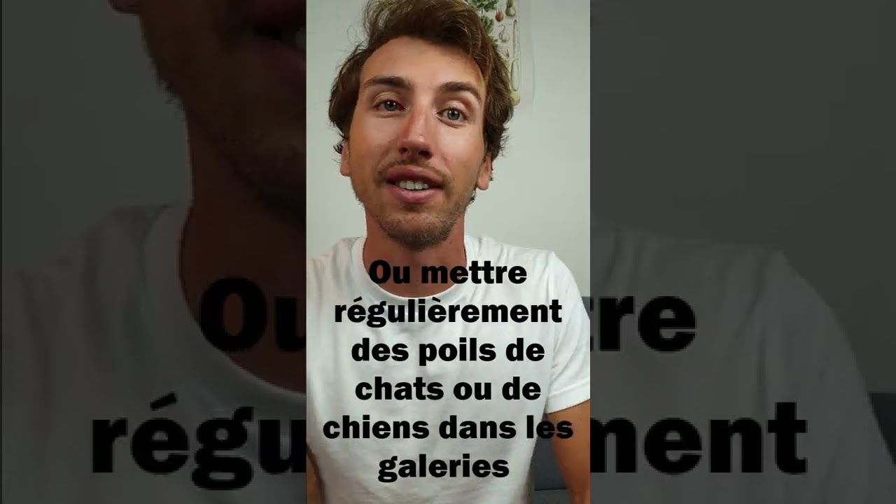 Comment gérer le rat taupier au potager ?