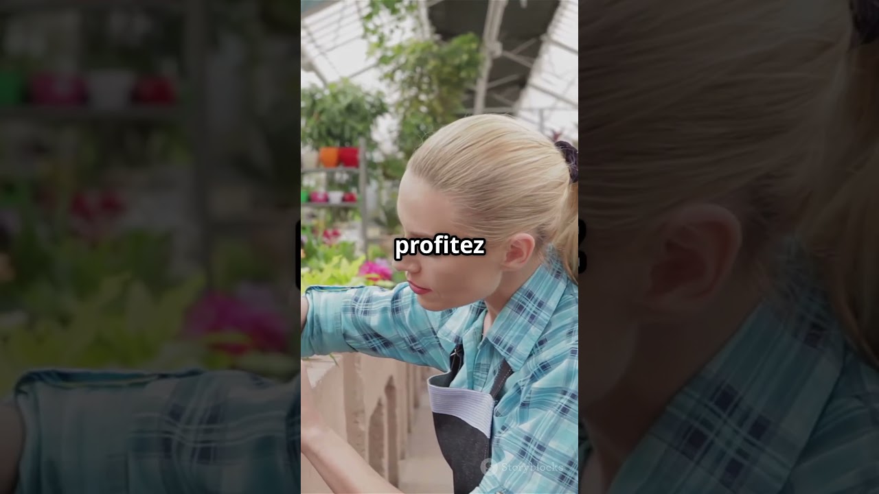 Arrêtez d’arroser vos plantes le soir ! Voici pourquoi c’est une erreur #plantes