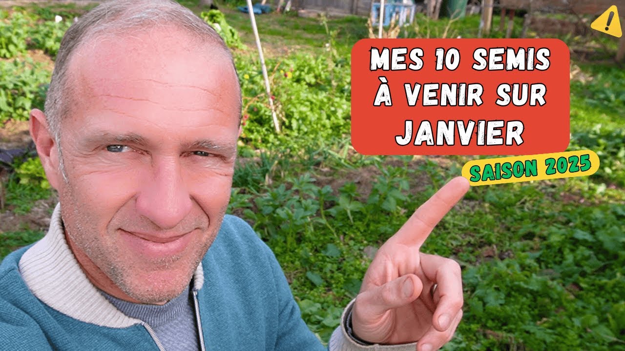 Mes semis à venir sur janvier/début février (sous abri) au potager.