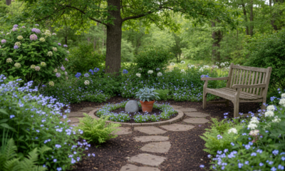 découvrez la réglementation et les précautions à connaître pour enterrer votre chat dans votre jardin en 2025, afin de respecter la loi et assurer un repos digne à votre animal.